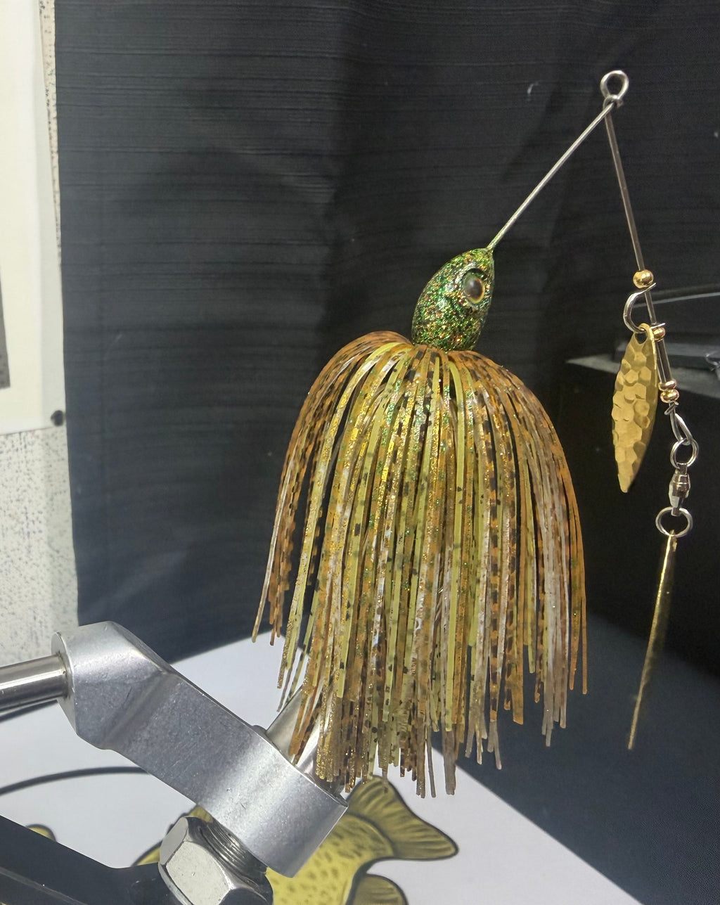 The golden shiner