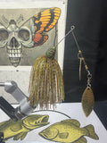 The golden shiner